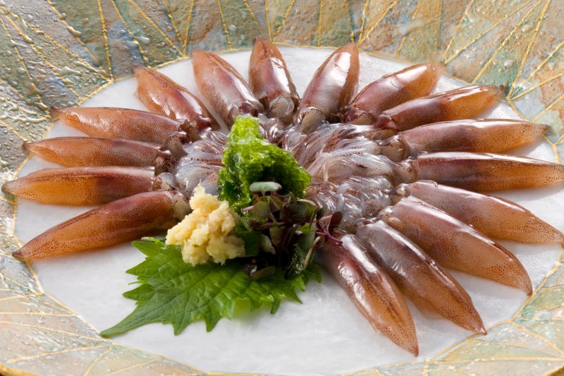 mực đom đóm Hotaru mực đom đóm Hotaru